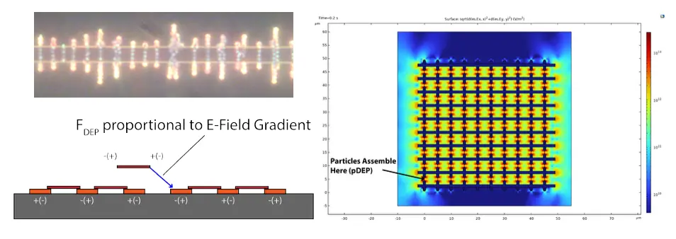 Deterministic Assembly